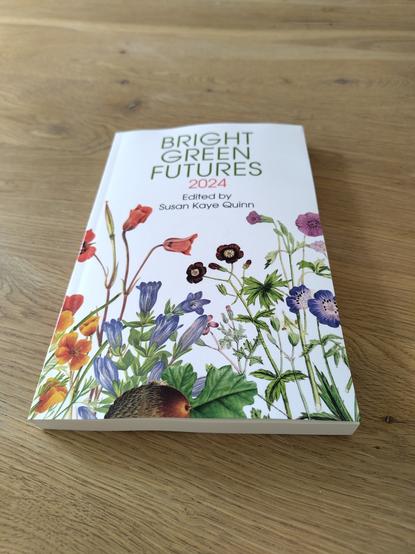The book "Bright Green Futures" 2024 Edited by Susan Kaye Quinn

There are flowers on the cover with a white background