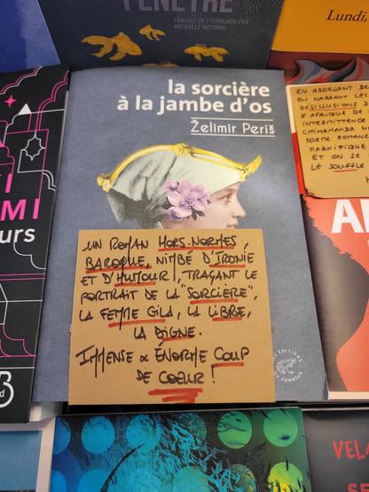 "Un roman hors-normes, baroque, nimbé d'ironie et d'humour, traçant le portrait de la "sorcière", la femme Gila, la libre, la digne.
Immense et énorme coup de cœur !"