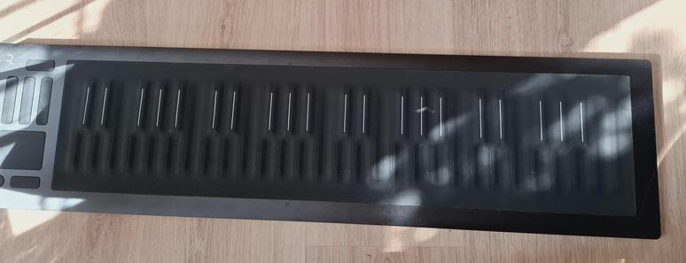 Roli seaboard rise 2