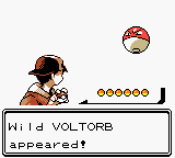 Screenshot of Pokémon Gold