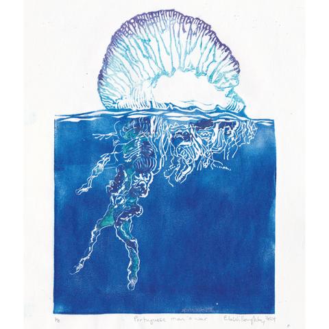 My Portuguese man o’ war linocut is printed in blues, turquoise, violet and pink on white 9.25” by 12.5” Japanese kozo (or mulberry) paper. The float is above the water surface, the tentacles below.