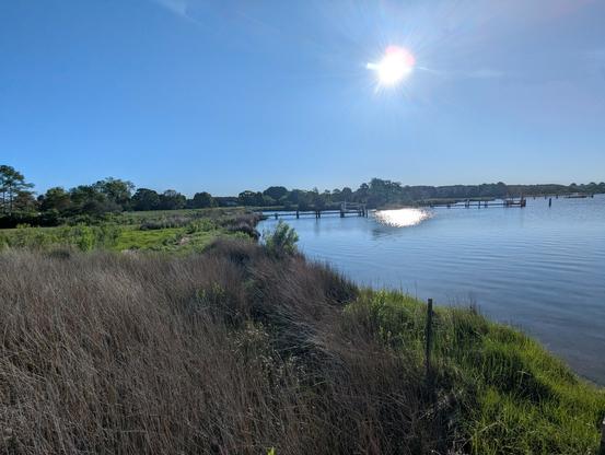 Photo of a calm morning sunrise over Harris Creek sun rising to the left in a cloudless blue sky. Marsh is a riot of new green growth. Creek water is rippled and reflects the sun and sky.