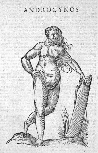 A 16th century woodcut of a human figure labeled Androgynos