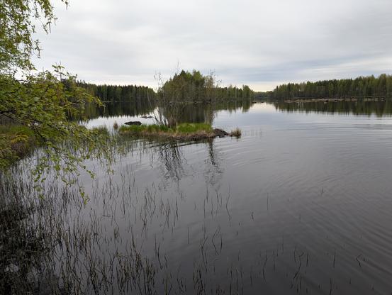 Suomalainen järvimaisema