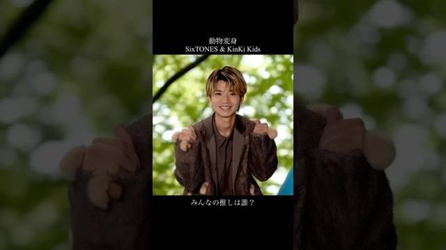 動物変身 SixTONES &KinKi Kids #ai #動物 #sixtones #KinKiKids #推し活
