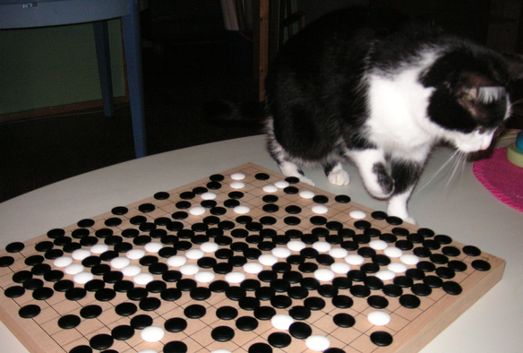 Go stones in black and white, and a cat in black and white.