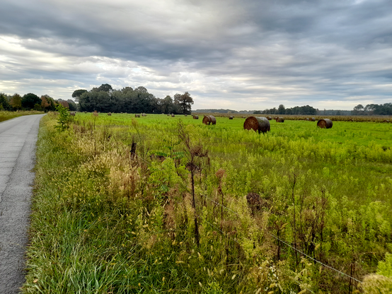 To the left a road that leads along a field with hay barrels. The field is light green against a dark and cloudy sky.