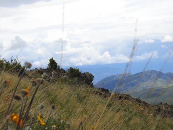 A grassland hill slopes downward. In the far background, rolling clouds blanket the sky. Grassy mountains capped with sparse conifer forests stand in the distance beyond the hill, and close to the camera are long grasses and yellow and blue wildflowers in bloom.