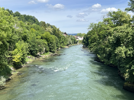 Fluss mit bewaldetem Ufer