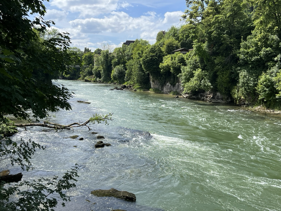 Fluss mit bewaldetem Ufer