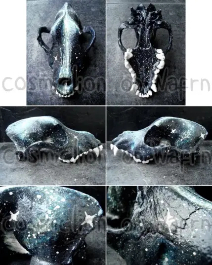 Set of six digital photos of a medium sized dog skull painted in dark blue and with a design of galaxies and stars. The first photo shows the top of the skull. The second photo shows the base. The third photo shows the right profile. The fourth photo shows the left profile. The fifth photo shows a closeup of the left profile, focusing on the back to show details of the stars. The sixth photo shows a closeup of the nose to show more details of the stars.