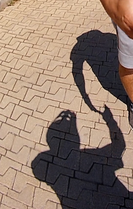 Handshake shadow