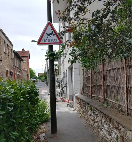 Une photo d'une rue en France. Un panneau de signalisation routière contient le dessin d'un chat et le text "chat en balade".