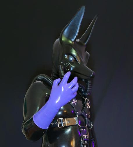 Shiny black latex jackal in harness and hoses to the gasmask with purple gloves under purple light in front of the black background