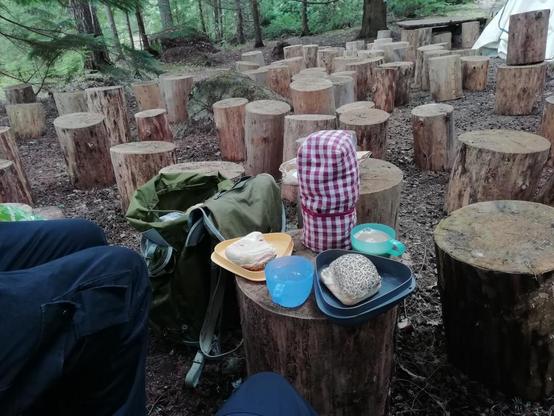Lännenhemlokkimetsikössä useita tukinpätkistä tehtyjä istuimia. Etualalla näkyy kahden istuvan ihmisen polvet. Yhden pöllin päällä on sämpylät muovilautasilla, kahvia ja vettä mukeissa sekä pannumyssyn peittämä termospullo. Istuinalueen reunoilla on puita joiden havut kurottavat aukiolle.
