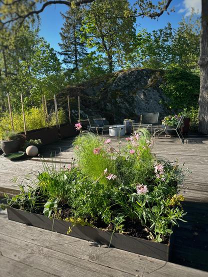 En rundad odlingslåda i cortenstål fylld med gröna växter och blommor i rosa nyanser på en uteplats i en försommarträdgård.
