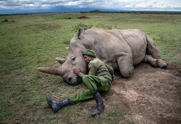 Zacharia Mutai with Najin in Ol Pejeta