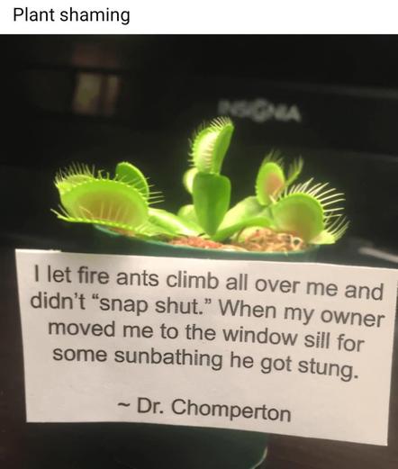 A potted Venus flytrap sits on a dark surface with a handwritten note positioned in front of it. The note, labeled "Plant shaming," humorously apologizes from the plant's perspective for not snapping shut when fire ants crawled on it, leading to its owner getting stung when moving the plant. The note is signed "Dr. Chomperton." The flytrap features several of its characteristic jaw-like traps, some open and others closed, displaying the plant's carnivorous nature.