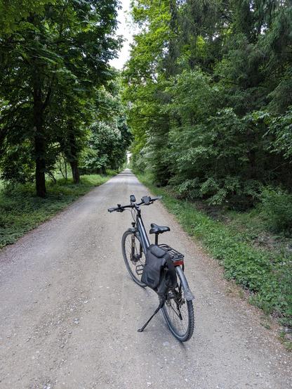 Mon vélo sur un chemin de forêt