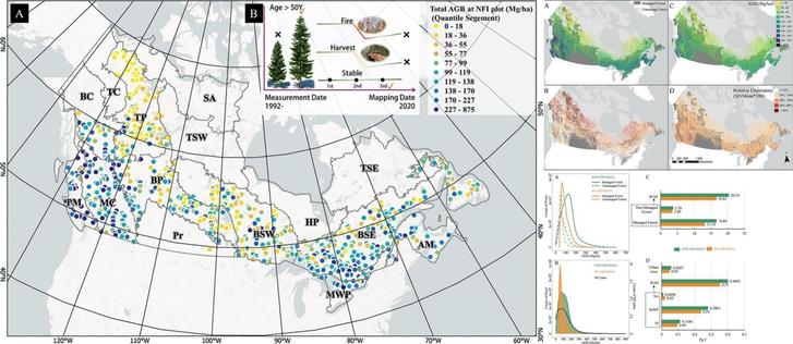 Visual Abstract containing maps with the AGB distributions over the Canadian territory