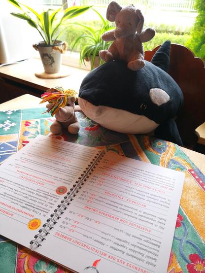 Plüschorca Panda sitzt auf einem Stuhl und lehnt sich über den Tisch, um die vor ihm liegende Getränkekarte zu studieren. Neben ihm auf dem Tisch sitzt Plüscheinhorn Carola, Plüschelefanty Elfi sitzt auf Pandas Stirn.