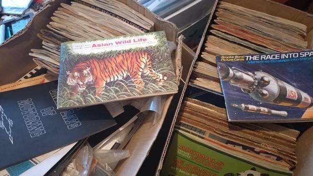 Two boxes of tea card albums. Visible: Asian Wild Life and The Race Into Space