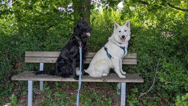 Emil und Jussi sitzen auf einer Bank im Schatten unter.einem Baum.