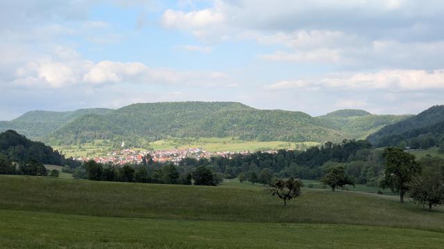 Talheim Panorama