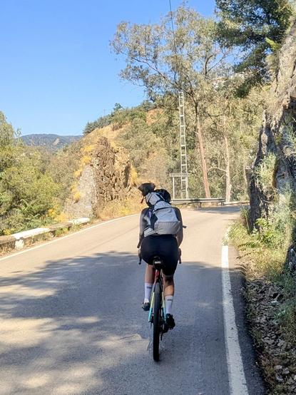 a women cyclist on a gravel bike is riding with her dog in her backpack. Seen from behind.