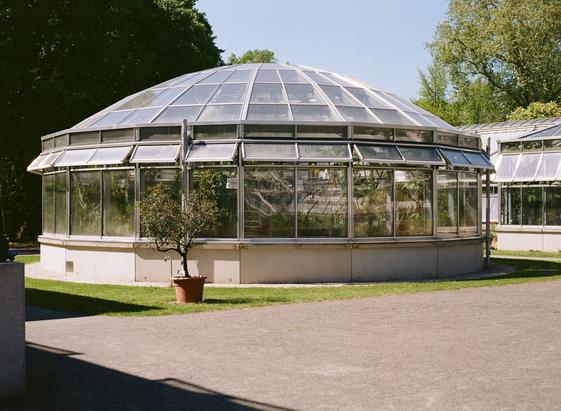 A glass greenhouse with a dome-shaped roof, surrounded by green grass and trees. A small potted plant is visible in front of the greenhouse. The setting is bright and sunny.