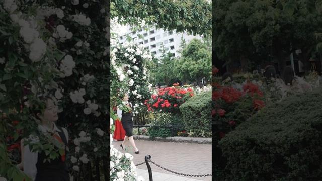 【4K】Yamashita Park Yokohama Japan #yokohama #japan #walking