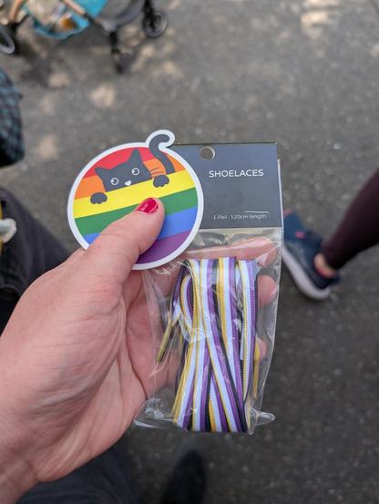 A quick picture I took at the market that shows off the laces and a sticker I picked up. The laces have Nonbinary Flag colors (yellow, white, purple, and black) along their length. The sticker is a circle containing a pride rainbow with a black cat peeking up from behind the yellow stripe.