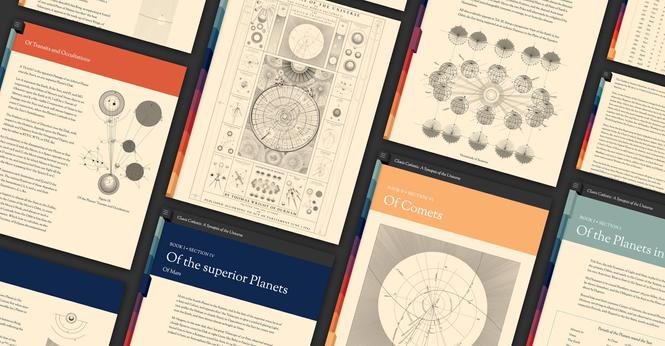 Screenshots of websites pages arranged in a collage