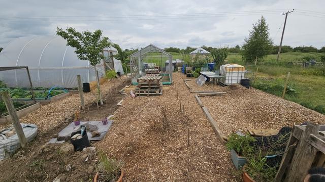 looking at an allotment plot, it is laid mostly to woodchip with some markers around the place to delineate where beds will be built, towards the back of the plot there is the frame of a greenhouse which has pallets stacked inside and next to it, and to the right are some tables and an IBC but is not in the best of shape, beyond all this the back of the plot shows more junk in general and a shed slightly hidden behind raspberry canes