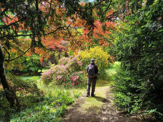 One of us walking down a tree and flower lined path. Getting a little lost in the sunshine and shade. A place not to rush.