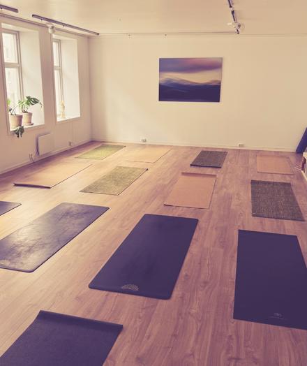 A peaceful yoga studio with wooden floors and cream-colored walls. Multiple yoga mats in various colors and textures - including purple, green, brown, and natural tones - are arranged throughout the spacious room. Large windows on the left wall let in natural light, with a small potted plant on the windowsill. A serene landscape photograph of purple mountains at sunset hangs on the back wall. Track lighting runs along the ceiling, and the warm, minimalist space creates a calming atmosphere for yoga practice.​​​​​​​​​​​​​​​​