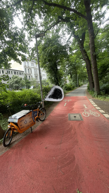 Veloroute 03 Blick Indie Eilenriede