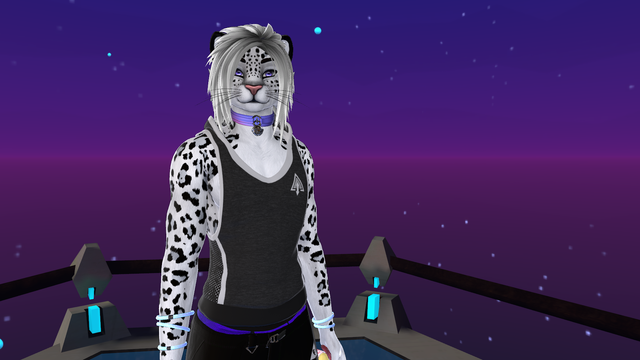 VR Chat avatar, a bishi snow leopard with long hair, in a tank top, pants, and a purple collar