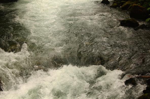 Crashing waters during salmon season, which starts mid-May into September, in Juneau, AK. The current crashes in a dip within the river near a hatchery.

Alaska fishing guide: https://www.alaska.org/advice/best-time-to-fish-in-alaska