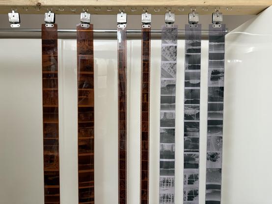 7 rolls of negatives hanging to dry.  2 120 rolls in color, 2 35mm rolls in color, 3 120 rolls in black and white.