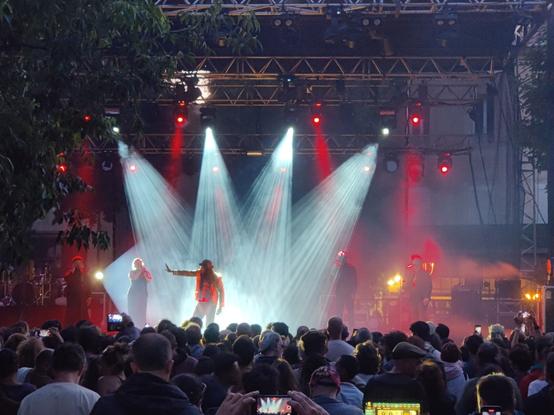 Vie d'une scène de concert avec le public devant, un artiste au milieu éclairé par 4 douches blanches.