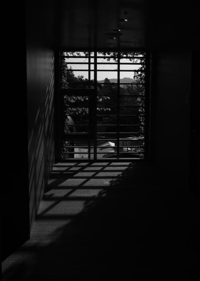 Light in a hotel corridor, the grid pattern of the window showing on the floor and wall - some vines outside the window catching the light too.
