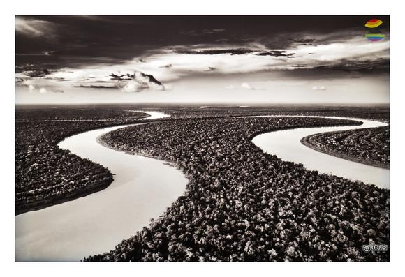Sebastião Salgado