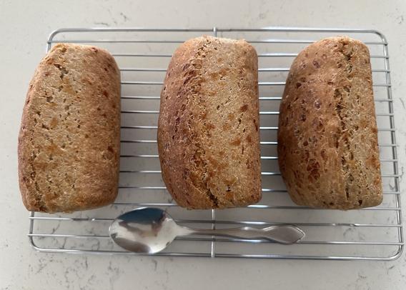 Three smallish loaves of cheese bread on a cooling rack, just out of sun oven. Below them on the rack is a tablespoon for scale.