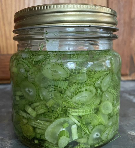 Fennel stalks, sliced very thinly, fermenting in 1.5% brine.