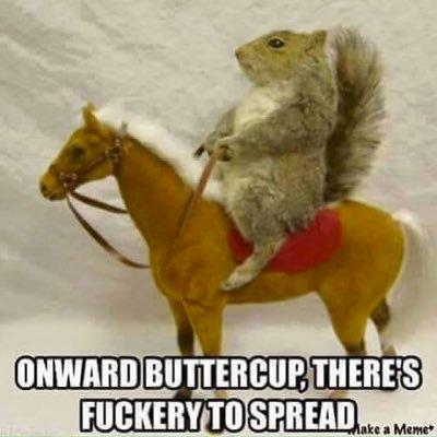 squirrel riding a horse, captioned onward, Buttercup, there's fuckery to spread