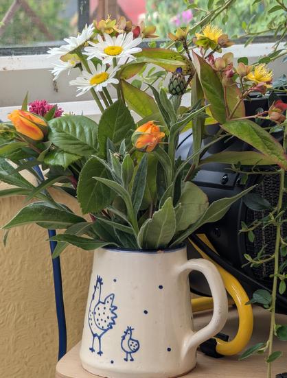 A posy of garden flowers including orange roses, shasta daisies and hypericum in a small cream ceramic milk jug with a blue chicken and chick drawn on in outline.