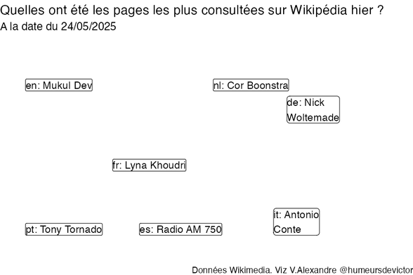 Recherches sur Wikipedia2025-05-25