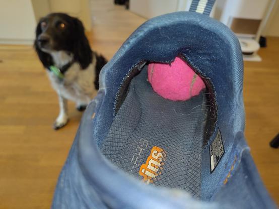 Tennisball im Schuh