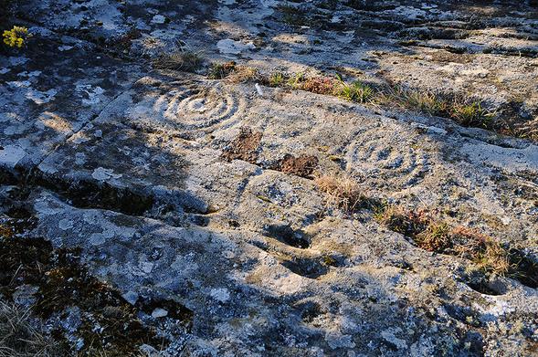 Photo showing several circular prehistoric carvings on the surface of a rock outcrop.